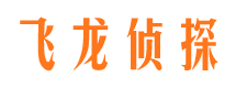 宁晋市婚外情调查